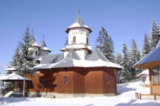 iarna_la _doroteia_04